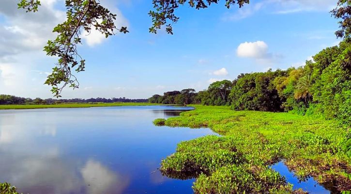 ছবিতে বাংলাদেশের প্রাকৃতিক দৃশ্য ও সৌন্দর্য